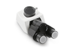 Microscope Head