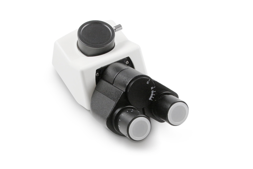 Microscope Head