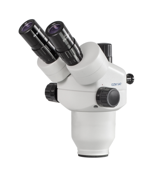 Stereo zoom microscope head